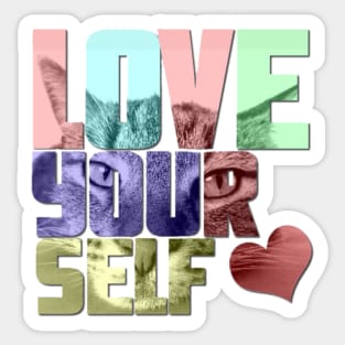 Love yourself cat's eyes love heart design Sticker